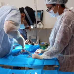 Design sem nome - 2023-03-29T111650.013