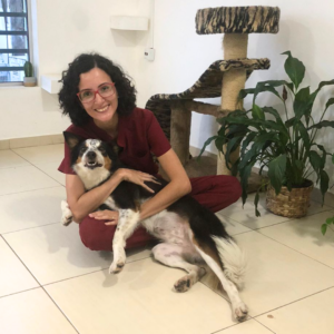 Design sem nome - 2023-03-29T112222.796