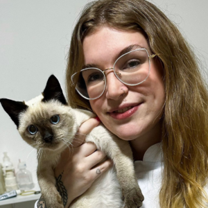 Design sem nome - 2023-03-29T112303.111