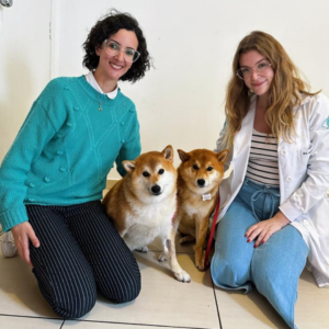 Design sem nome - 2023-03-29T112510.364