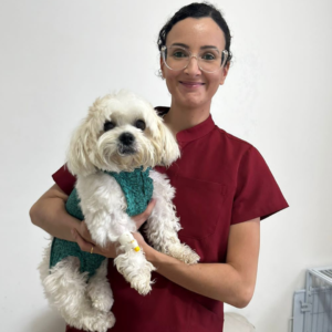 Design sem nome - 2023-03-29T112543.368