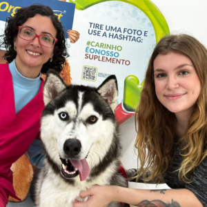 Design sem nome - 2023-03-29T112613.816